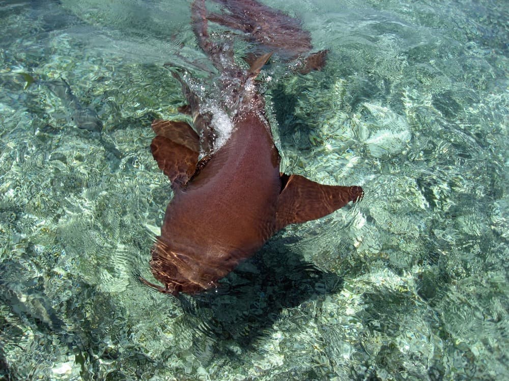 Parque Nacional Bacalar Chico