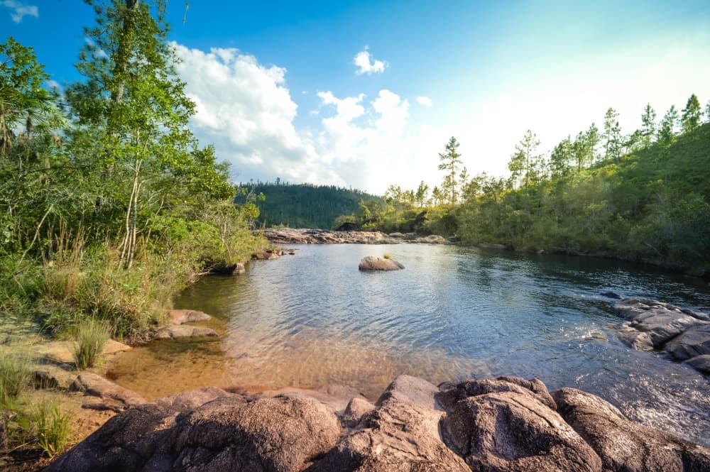 La Reserva Forestal de Mountain Pine Ridge